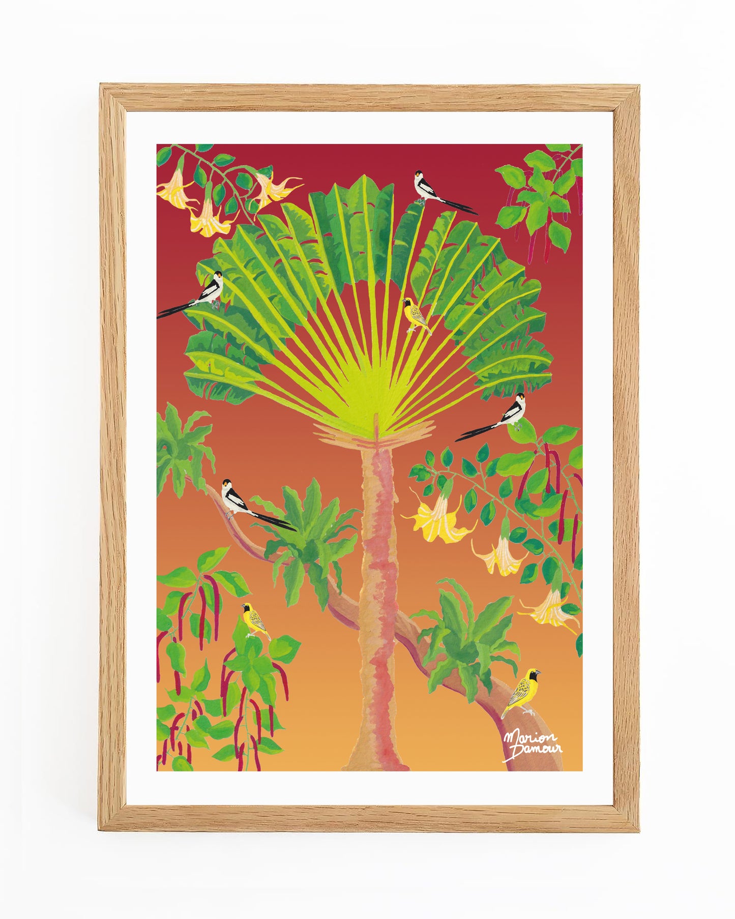 Affiche Arbre du voyageur