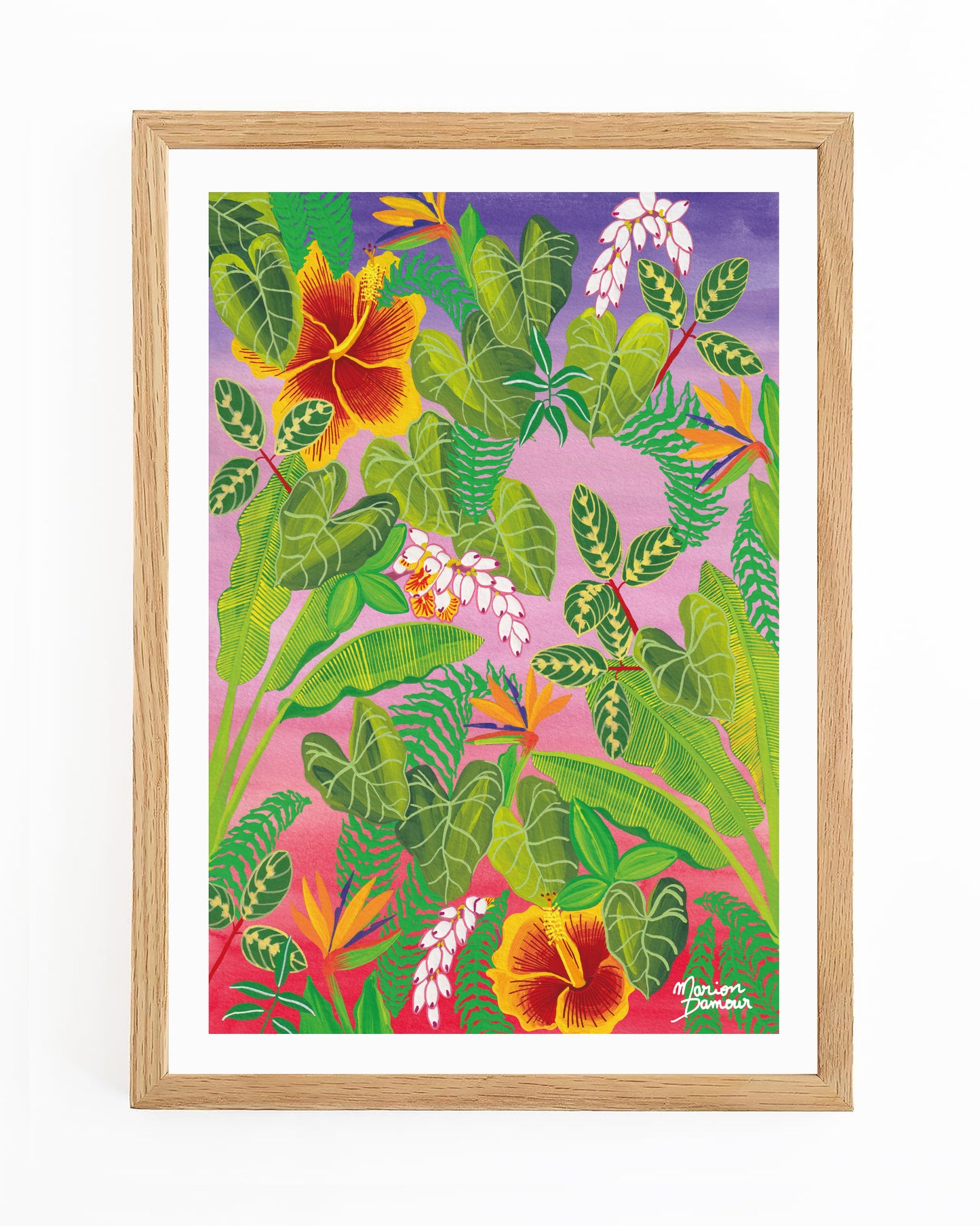 Affiche Hibiscus violet