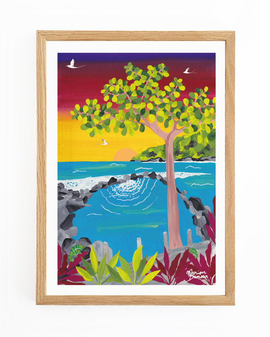 Affiche Manapany
