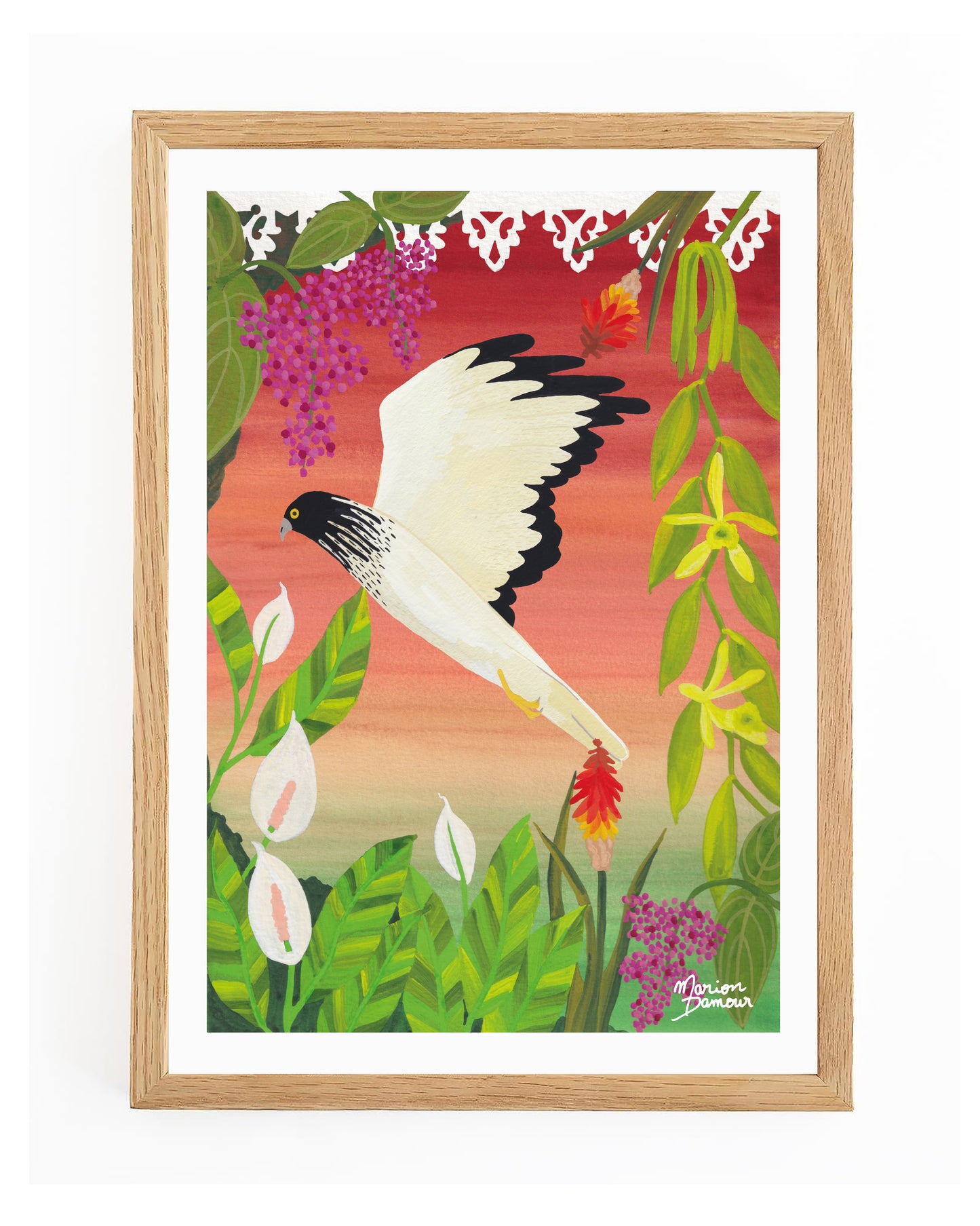 Affiche Papangue