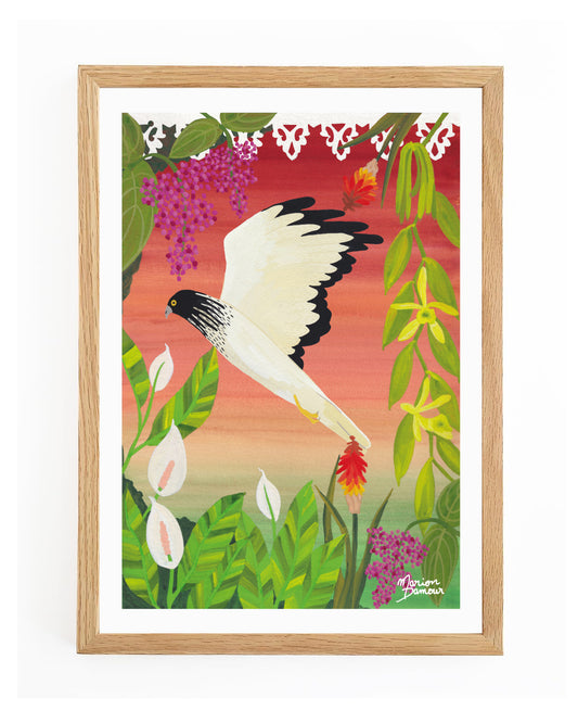 Affiche Papangue
